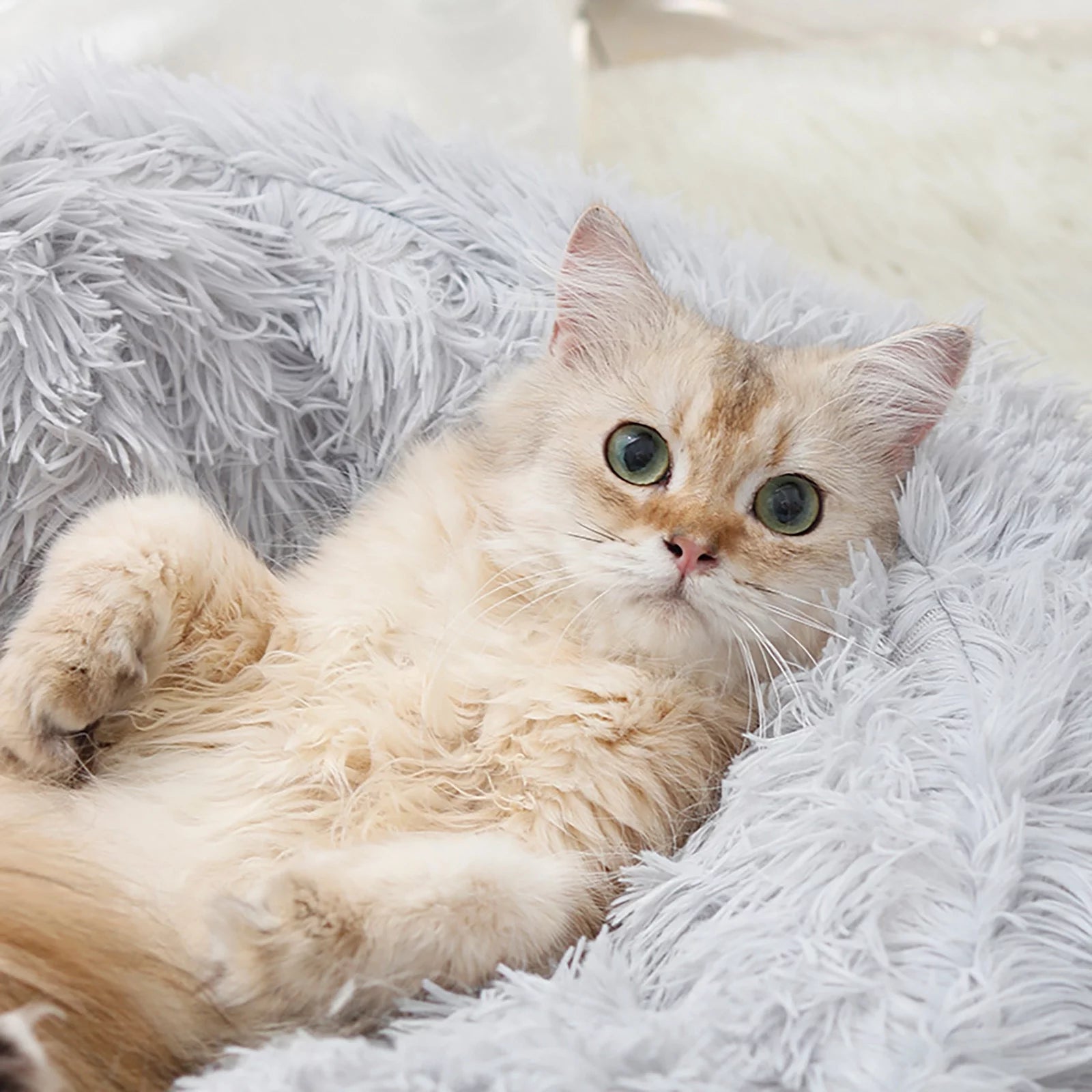 Dog Bed & Cat Cave Bed with Hooded Cover