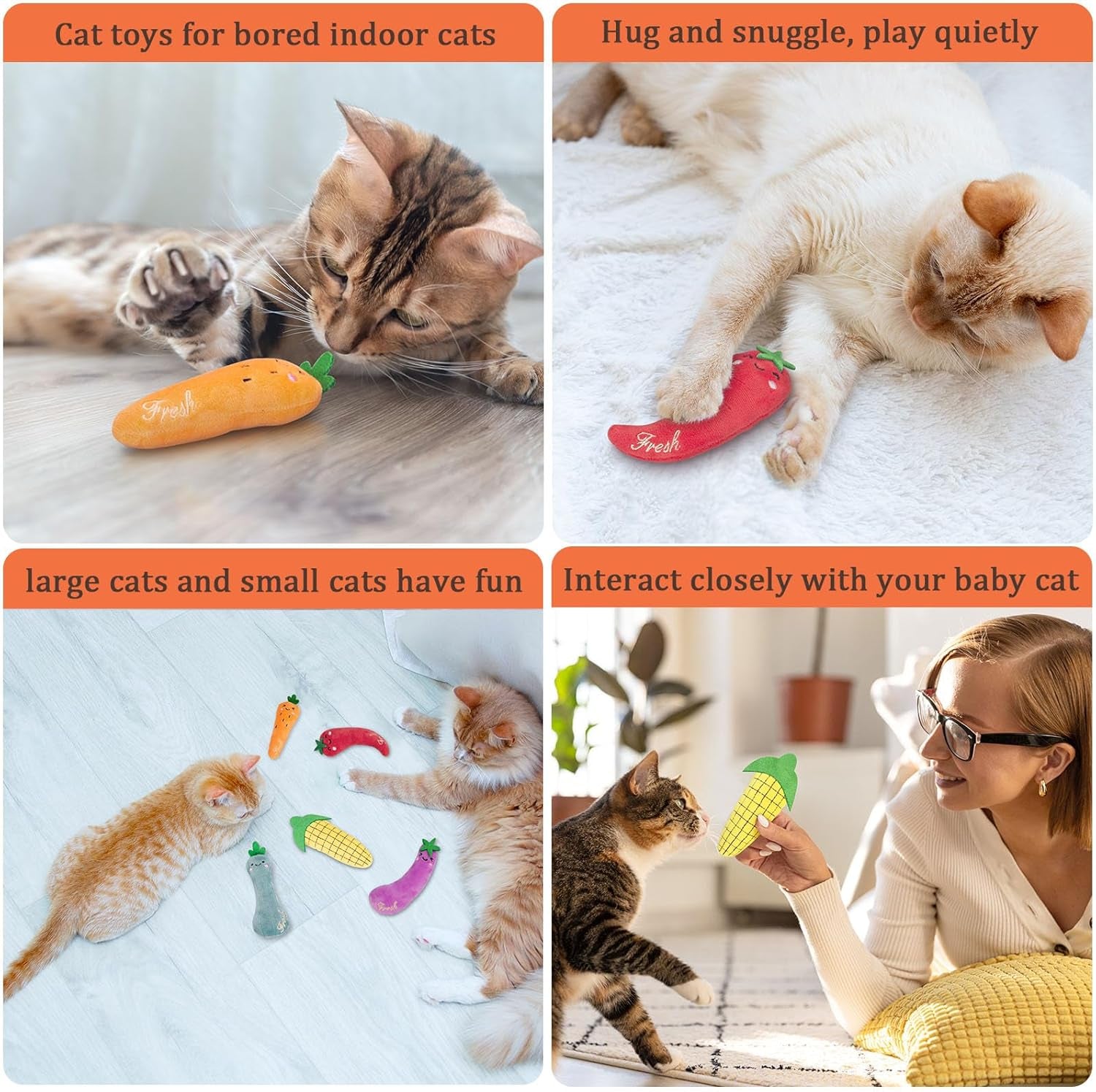 Catnip Toys