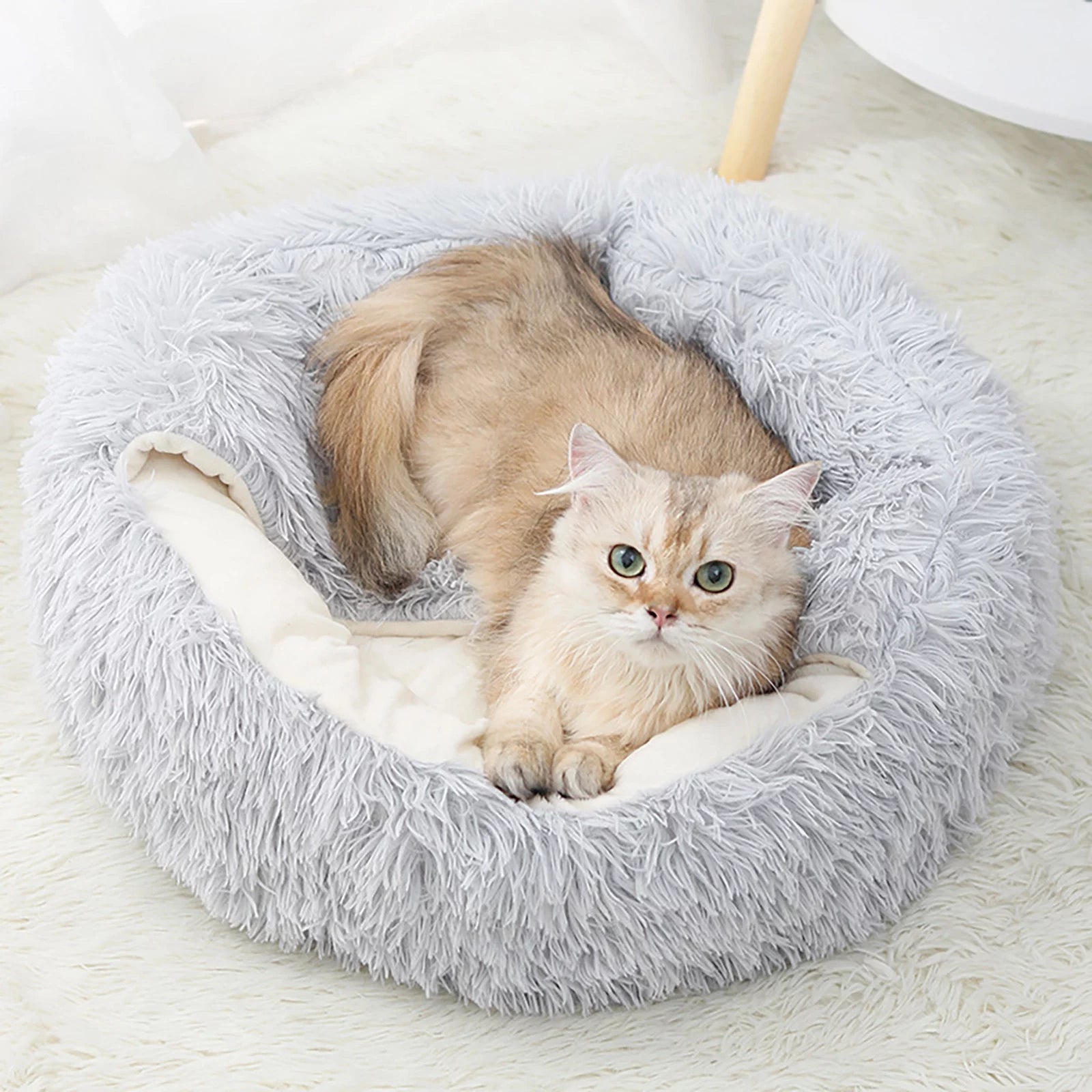 Dog Bed & Cat Cave Bed with Hooded Cover