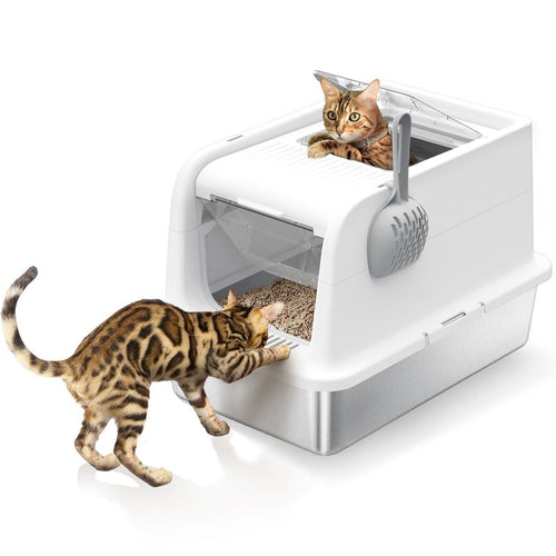 Cat Litter Box with Scoop and Lid