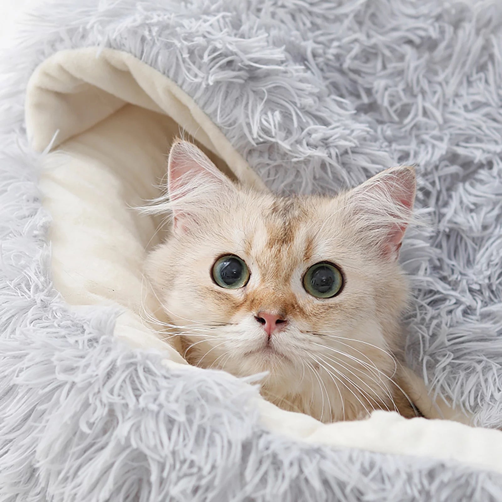 Dog Bed & Cat Cave Bed with Hooded Cover