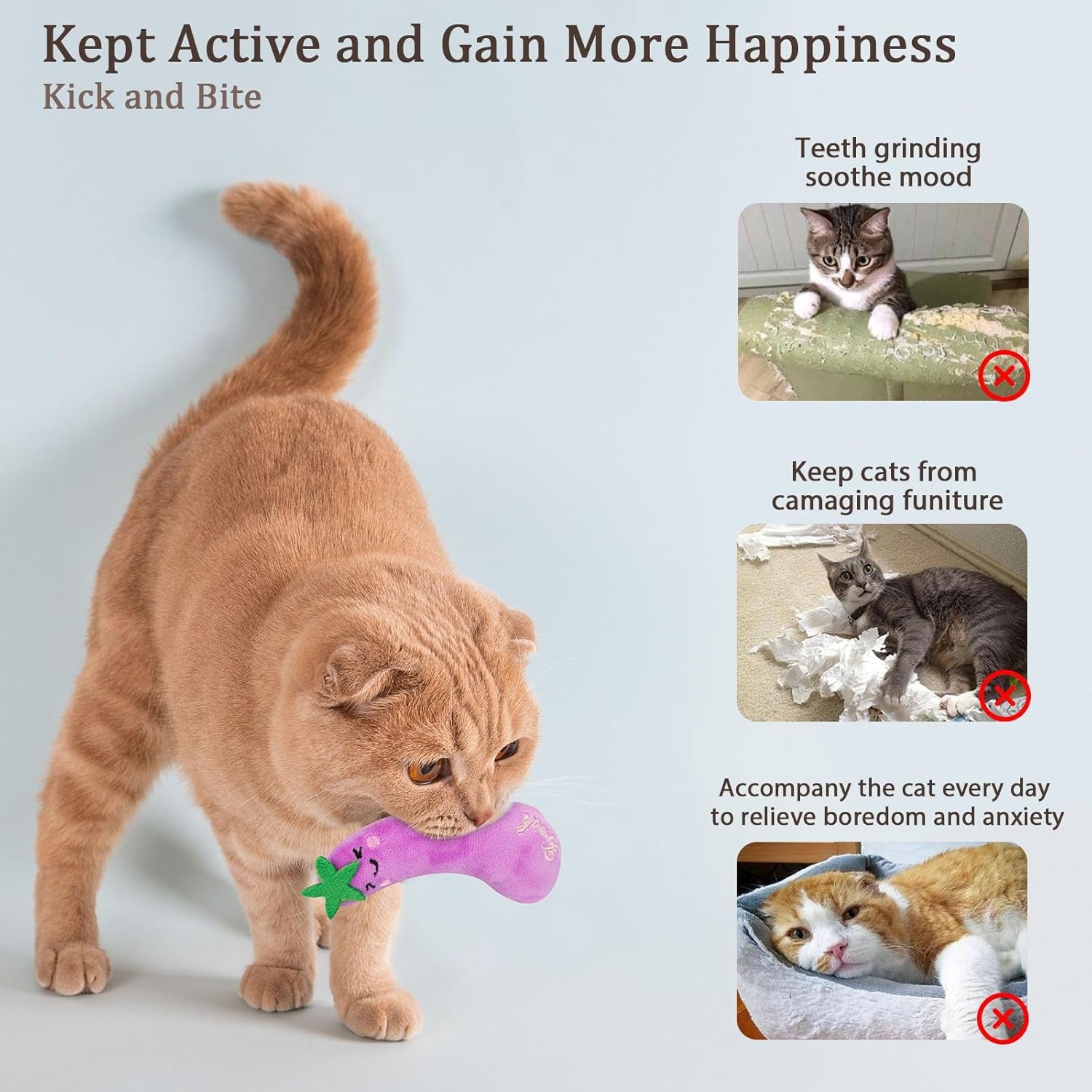 Catnip Toys