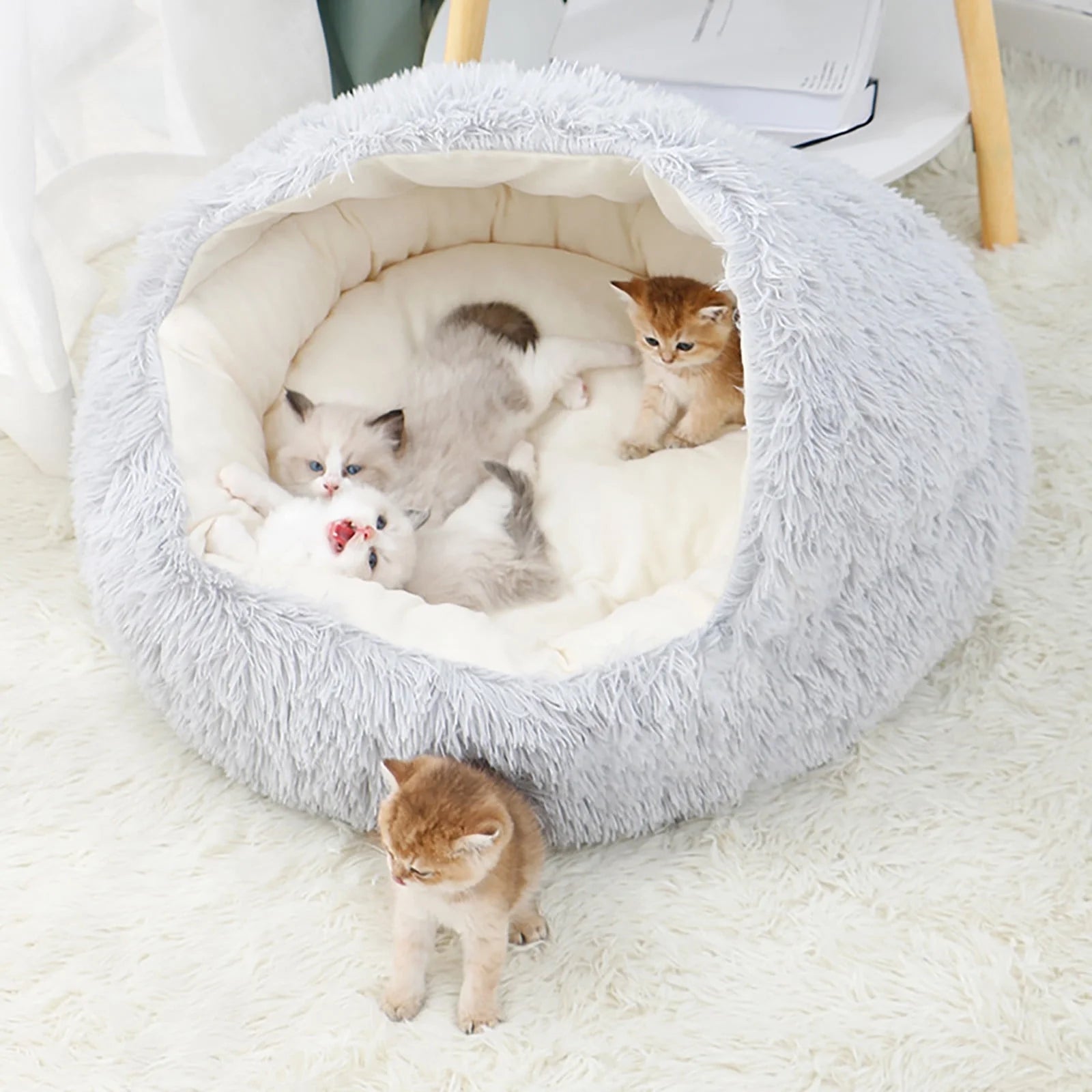 Dog Bed & Cat Cave Bed with Hooded Cover