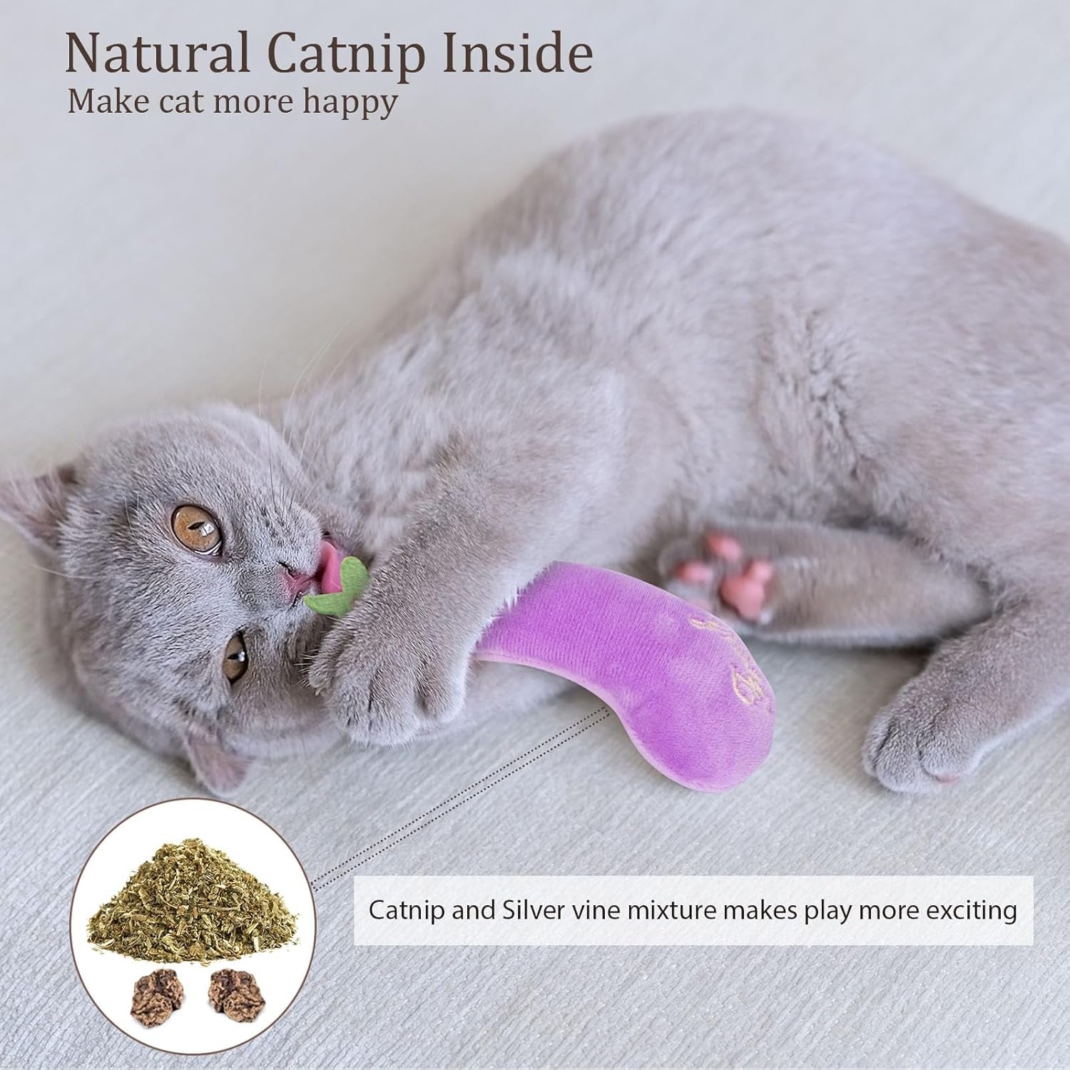 Catnip Toys