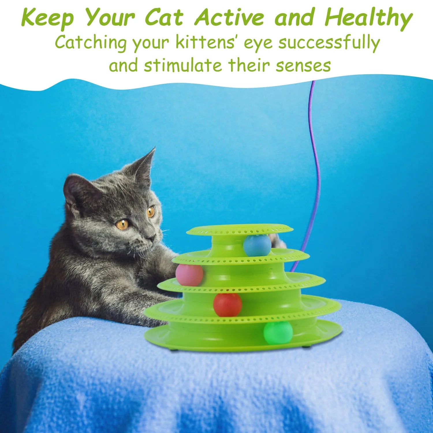 Cat Track Interactive Ball Toy
